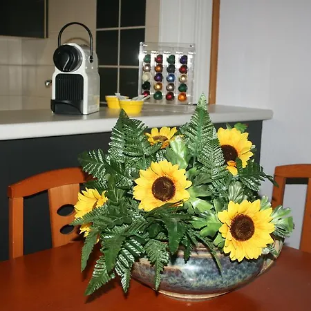 Fabiola Zentro Zaragoza