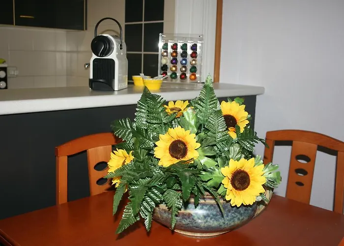 Fabiola Zentro Zaragoza